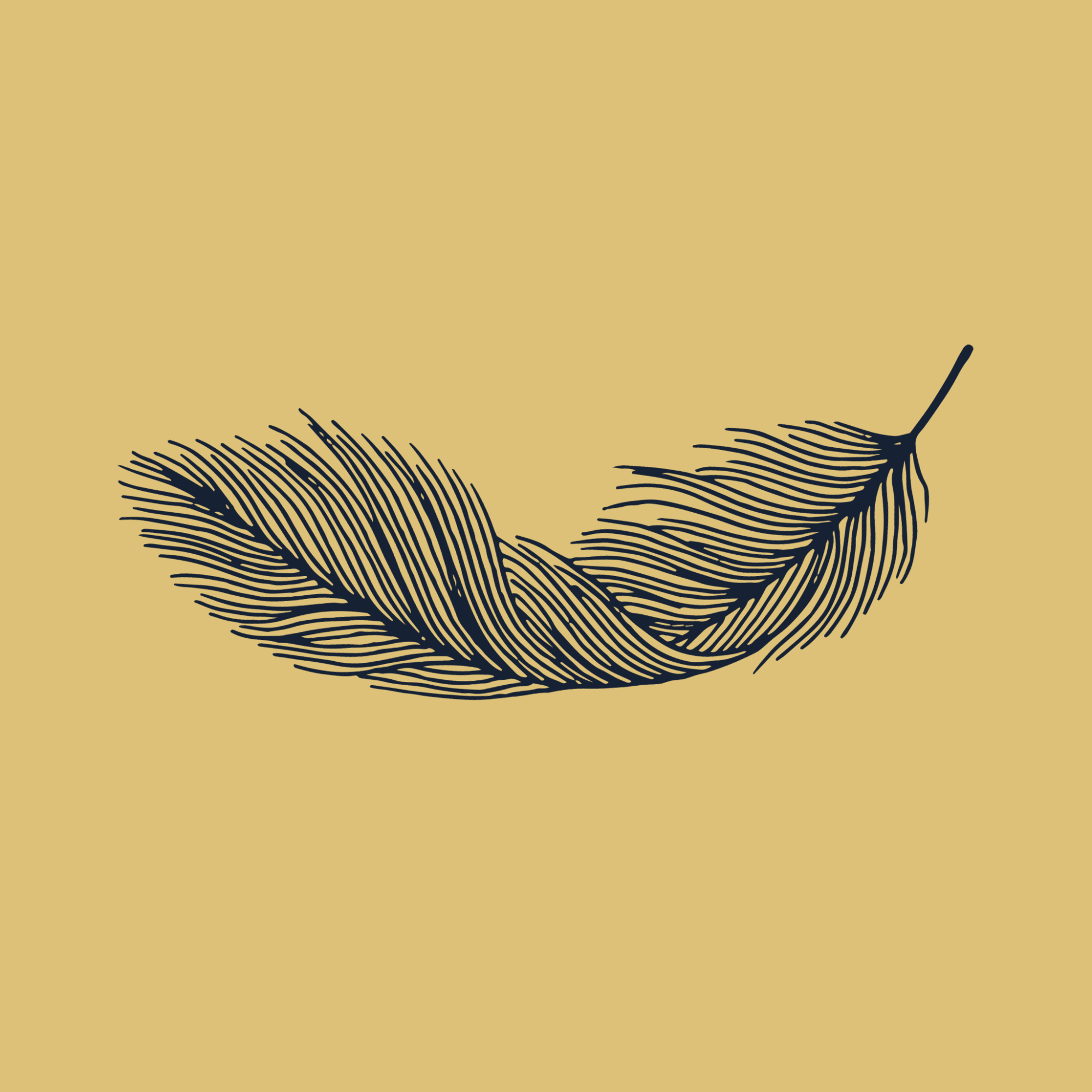 Th Feather Framework Badge